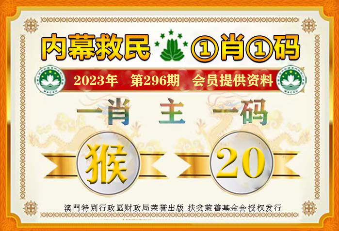 澳门一肖一码100%精准王中王，精选版词语释义解释落实