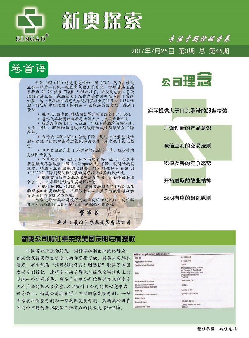 新奥精准免费奖料提供，精选版词语释义解释落实