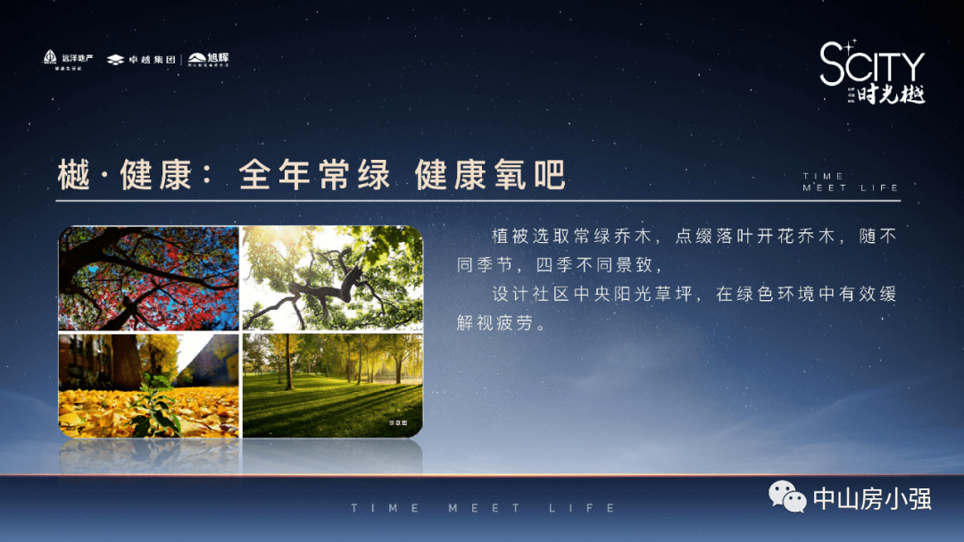 澳门王中王100%正确答案最新章节，精选版精选解析解释落实