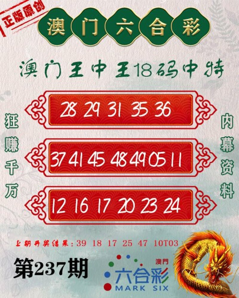 新澳门王中王100%期期中,全面释义、解释与落实