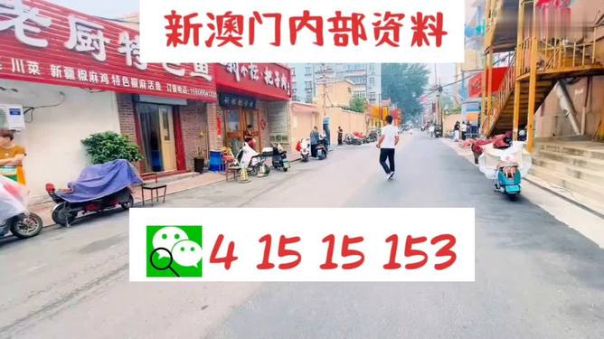 2025年新澳门天天开好彩实用释义、解释与落实