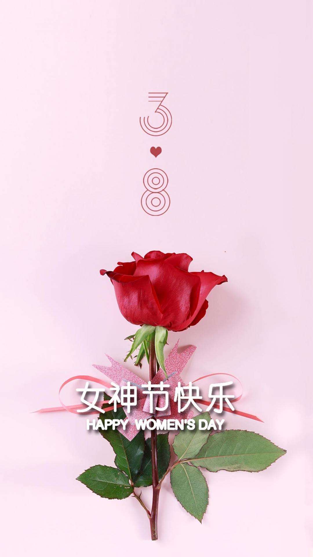 不要再叫女神节女王节了