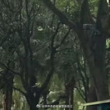 新闻 第60页