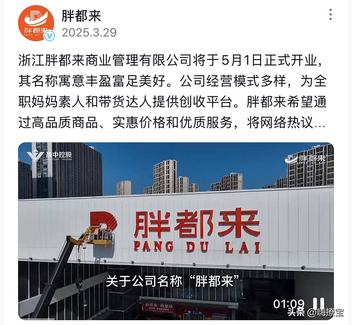 胖都来股东申请盈都来肥都来商标